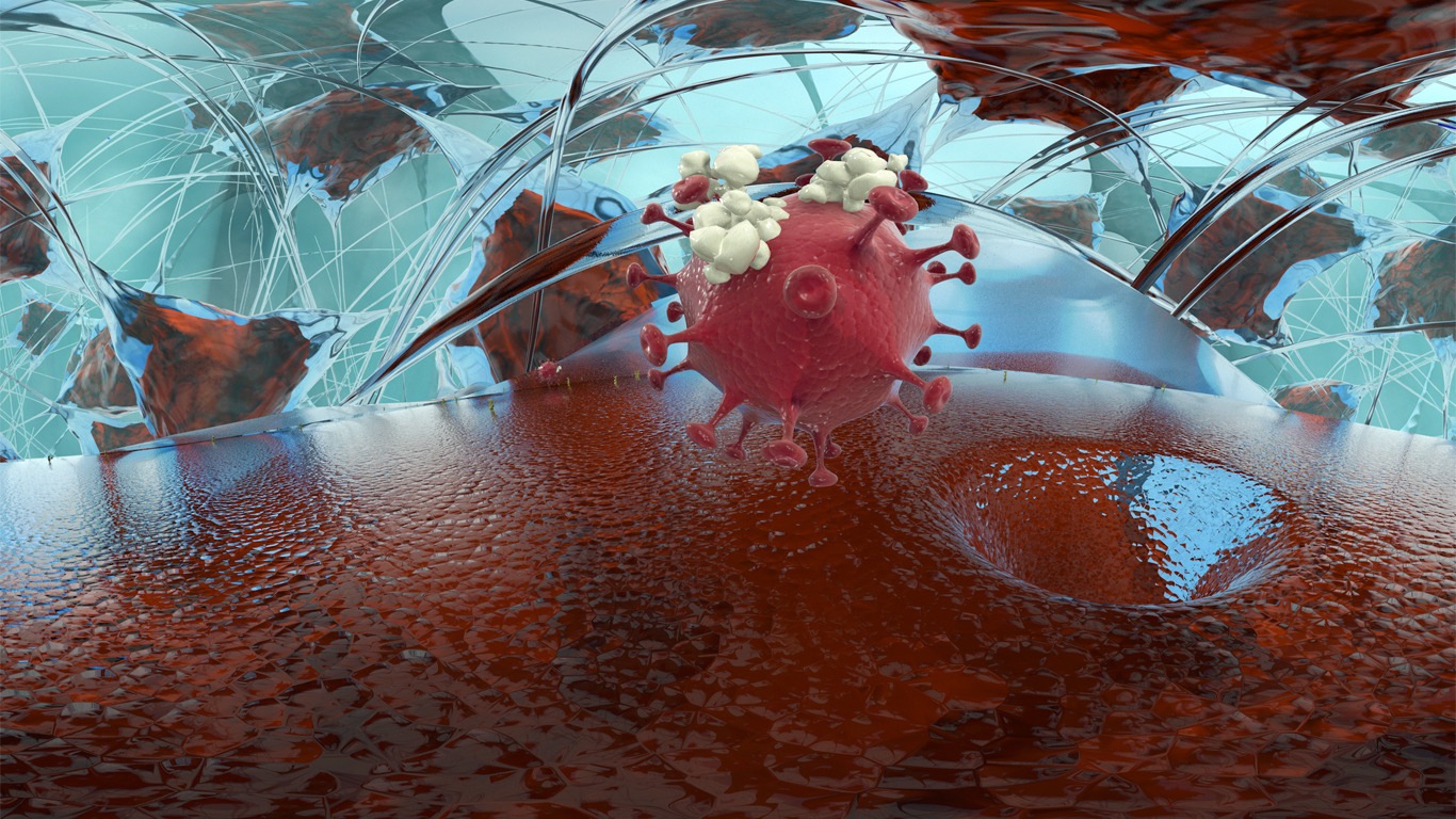 冠状病毒入侵细胞