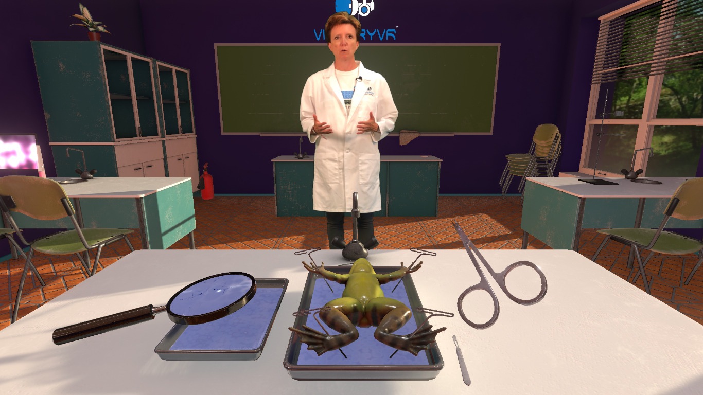 virtual frog dissection game free online