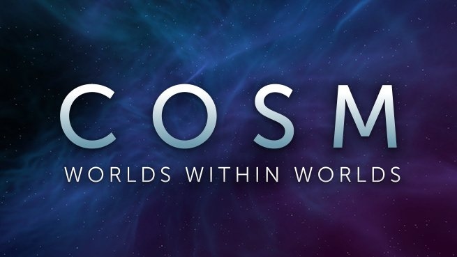 C O S M Worlds Within Worlds