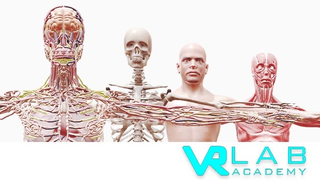 VRLab Academy : Anatomy VR