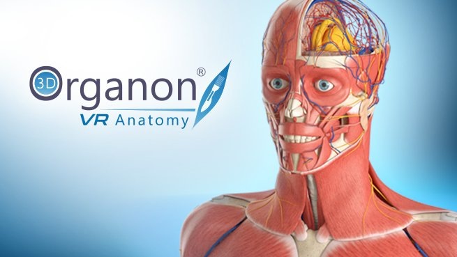 3D Organon VR Anatomy