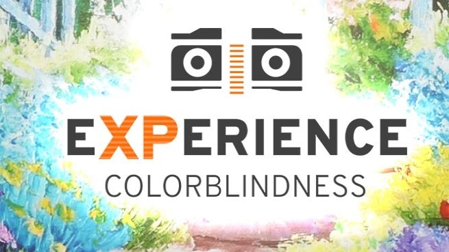 Experience: Colorblindness