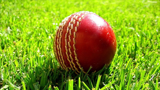 vr cricket game set