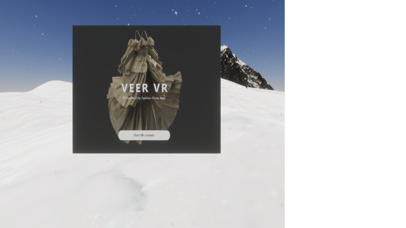 VEER VR