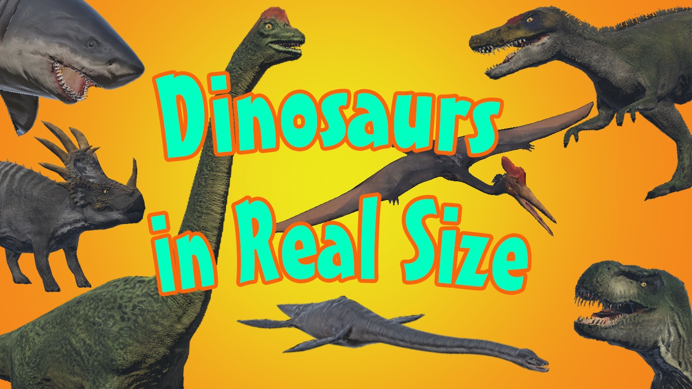 Dinosaurs in Real Size